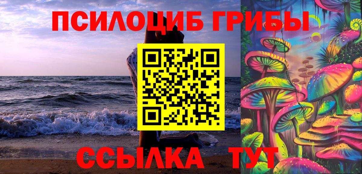 Псилоцибиновые грибы Psilocybine cubensis  Псилоцибиновые грибы Cubensis  Россия  Вход с VPN 